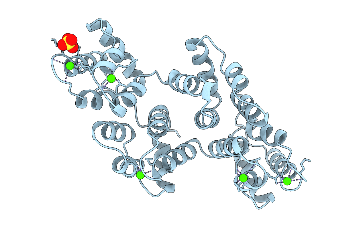 1BC1 image
