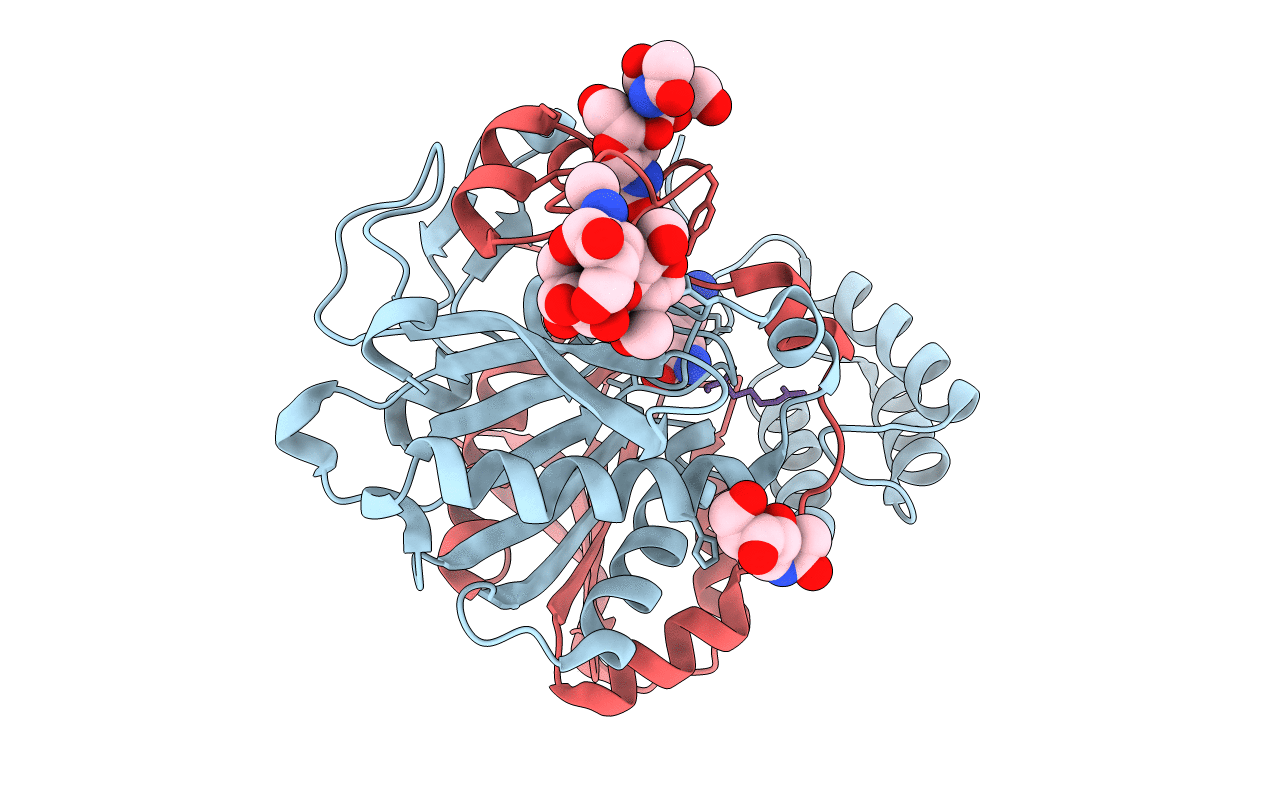 1BCR image