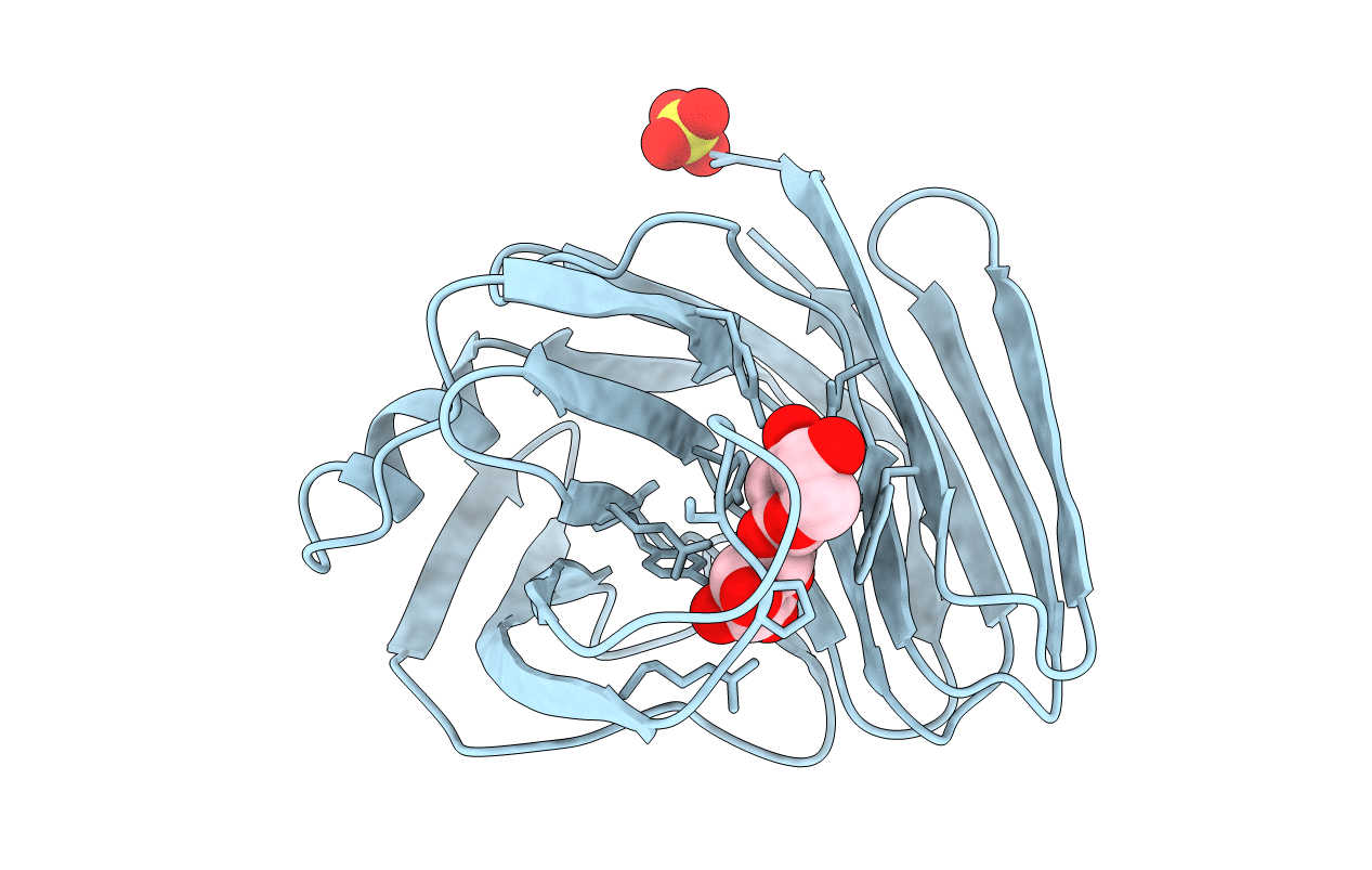 1BCX image