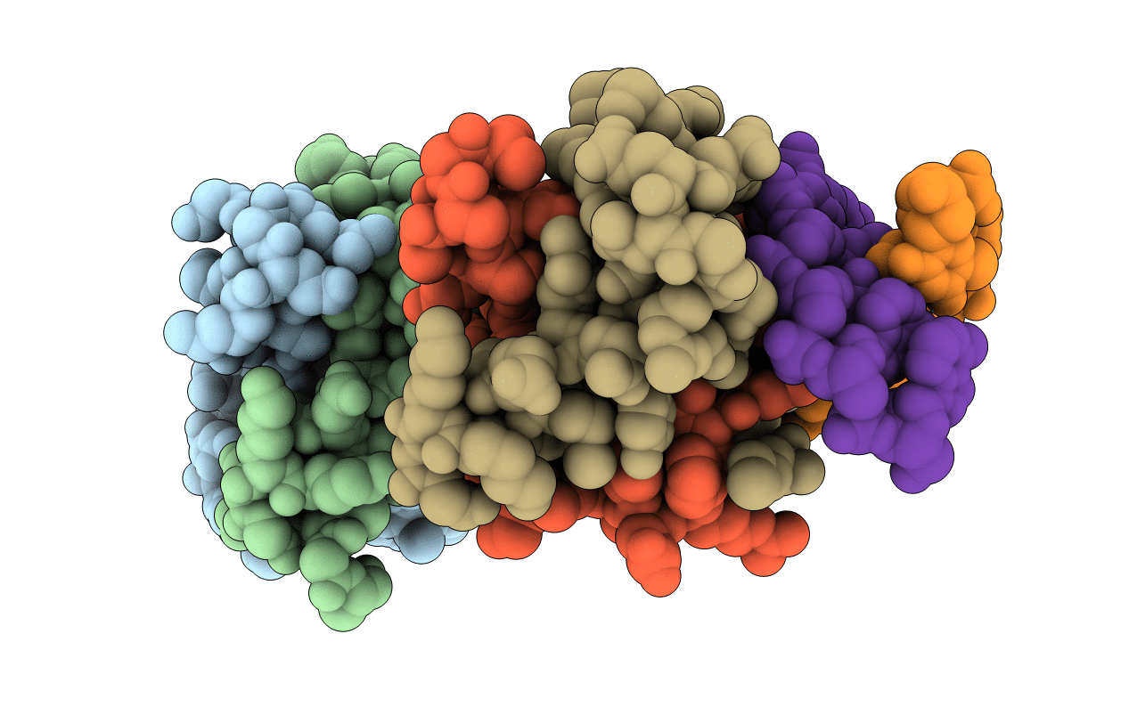 1BDV image