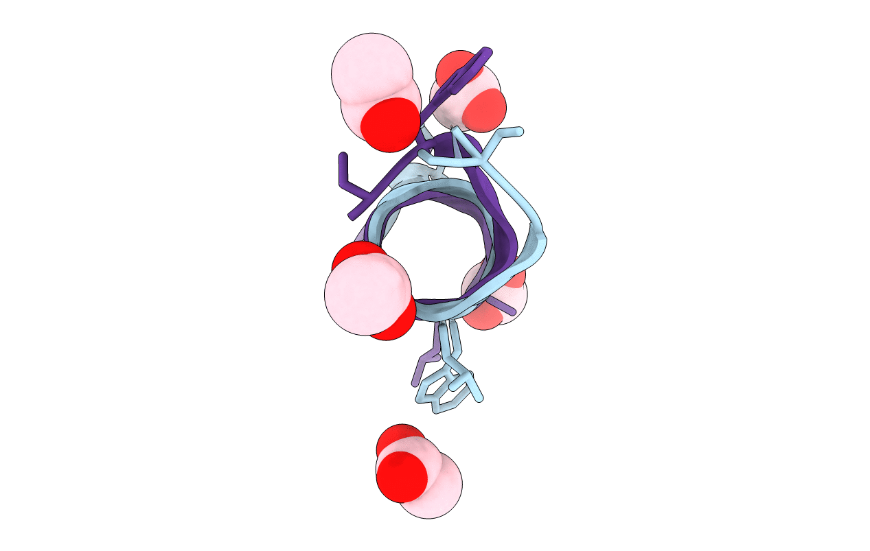 1BDW image
