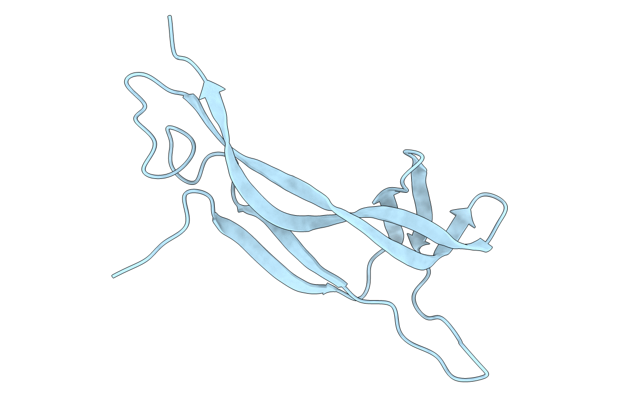 1BET image