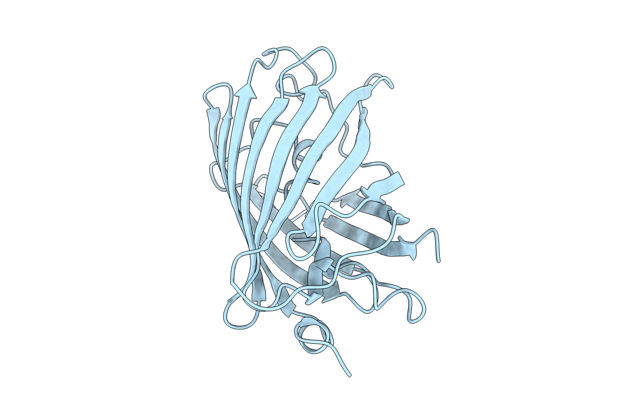 1BFP image