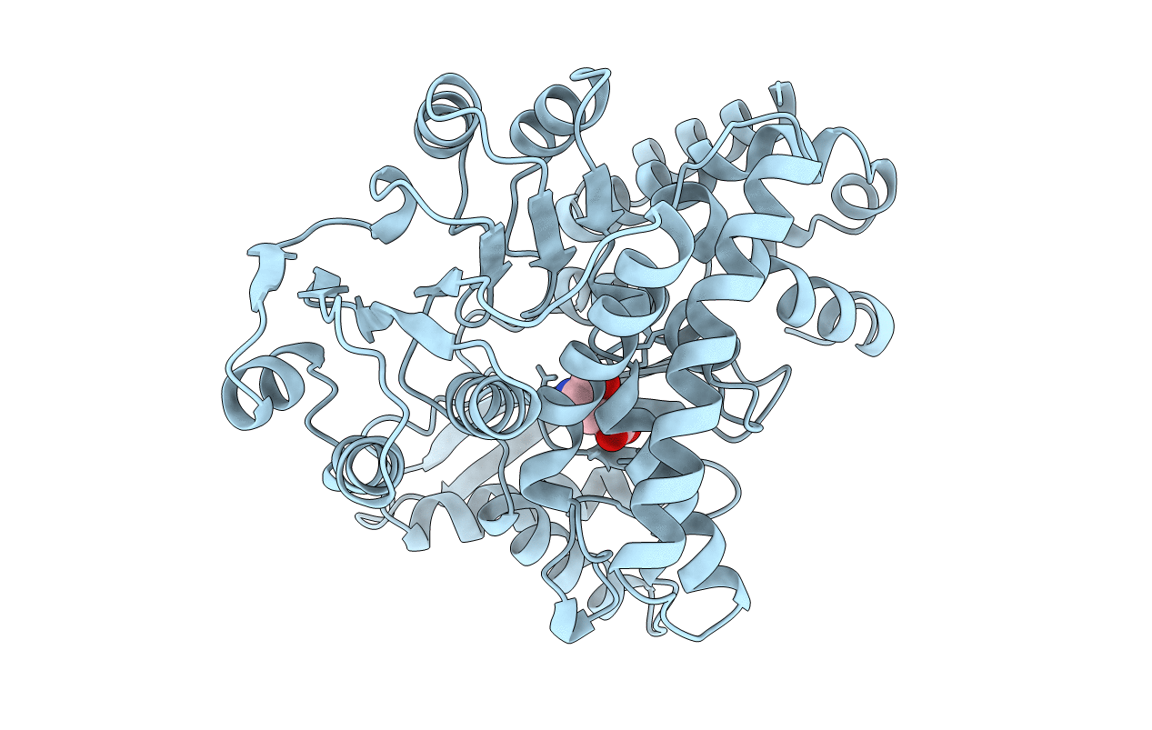 1BGV image