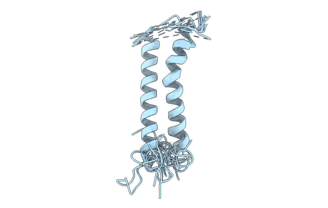 1BHB image