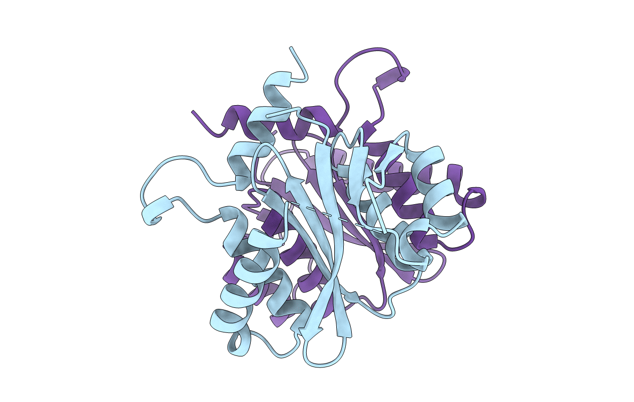 1BIS image