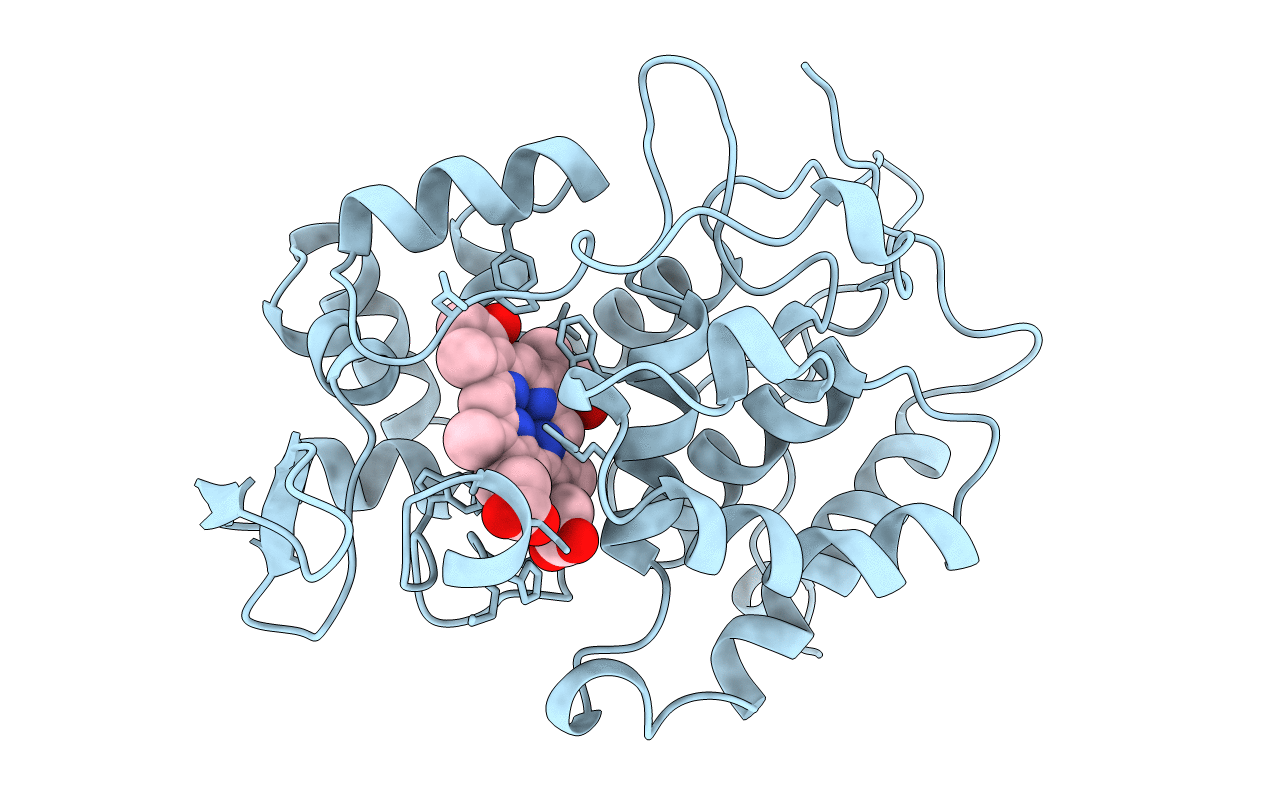 1BJ9 image