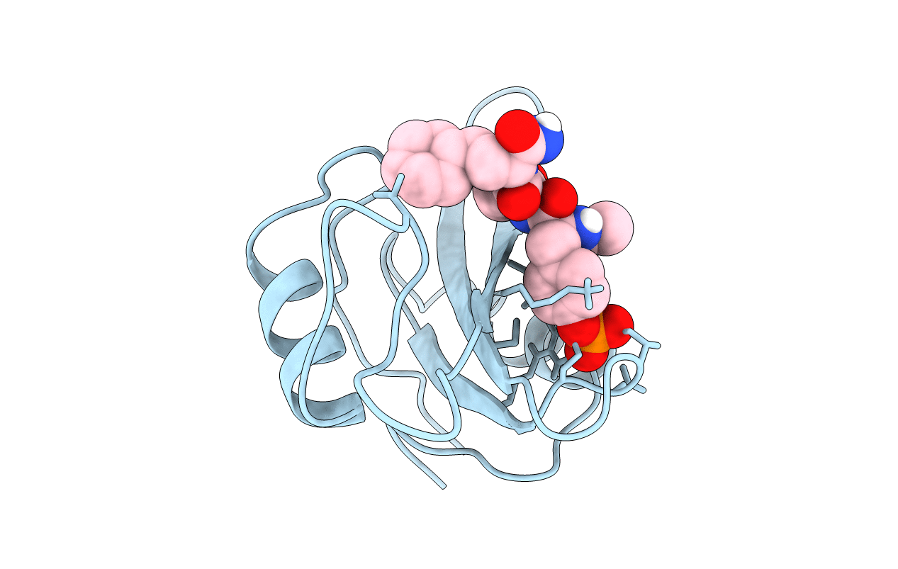 1BKM image