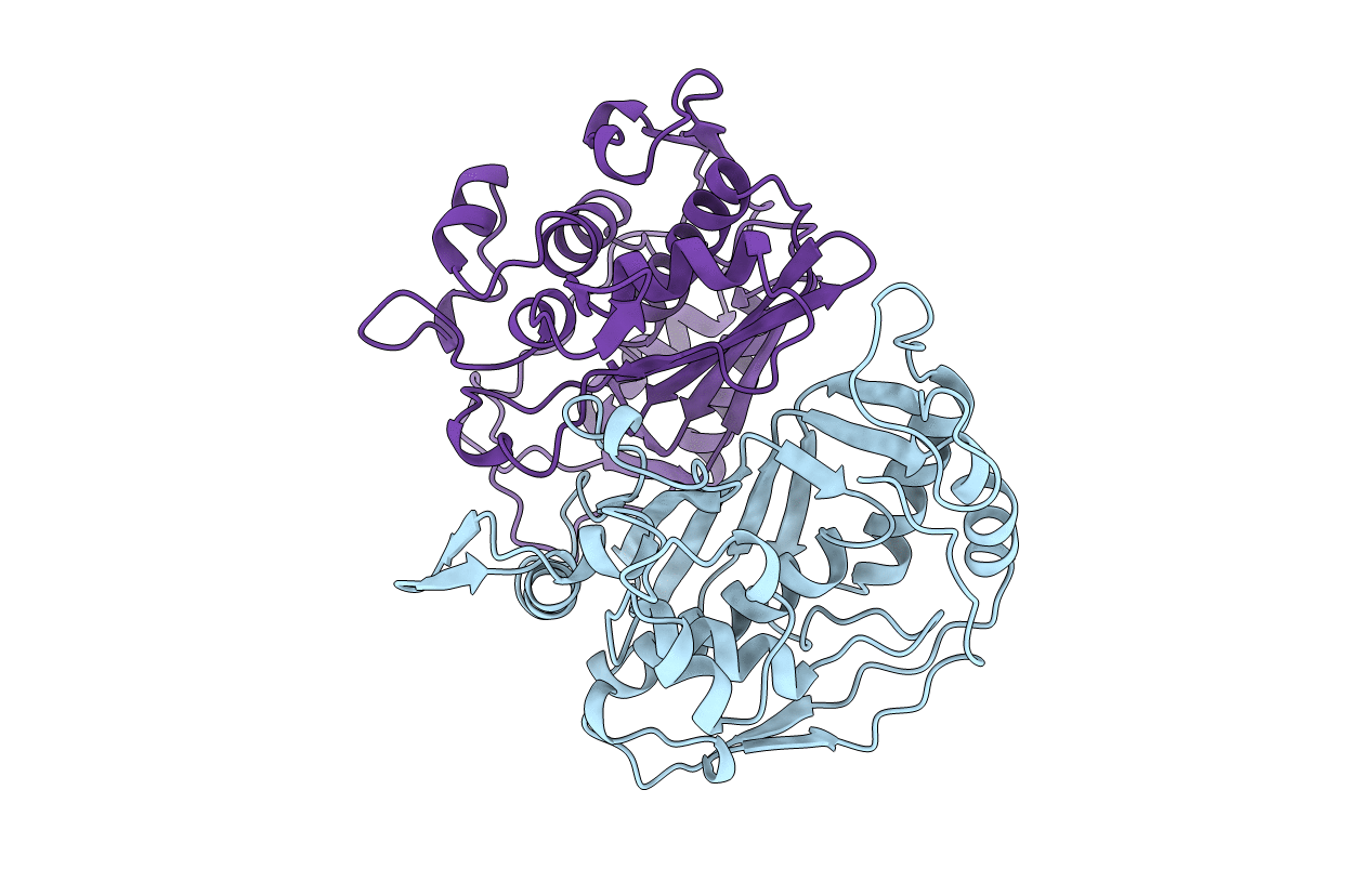 1BKP image