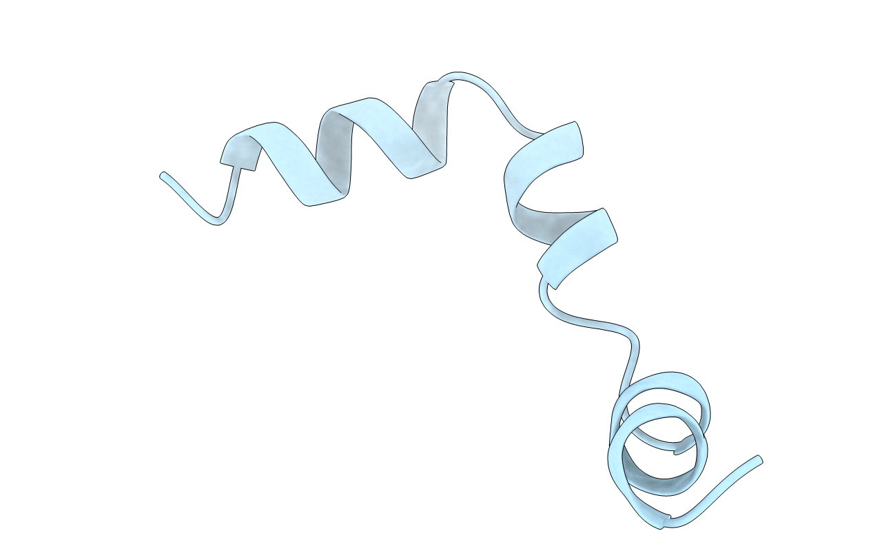 1BL1 image