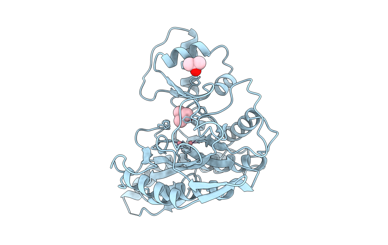 1BN5 image