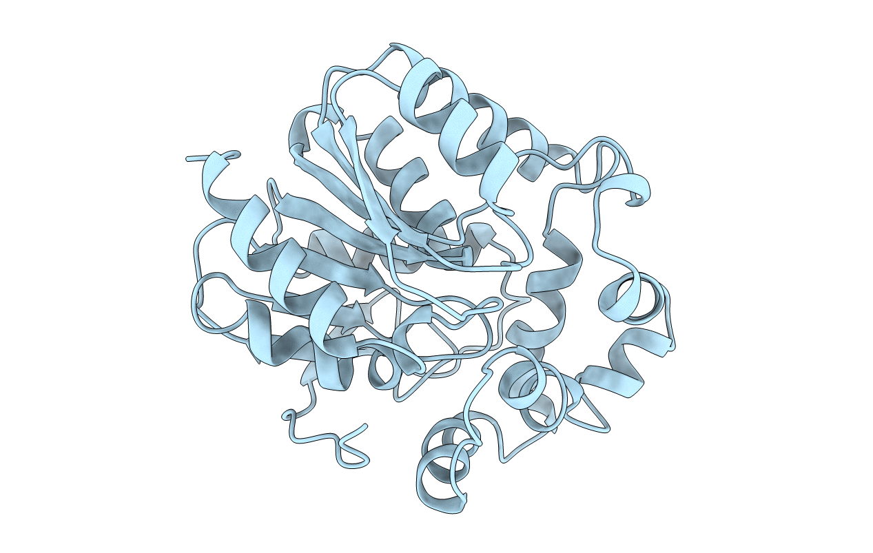 1BN6 image