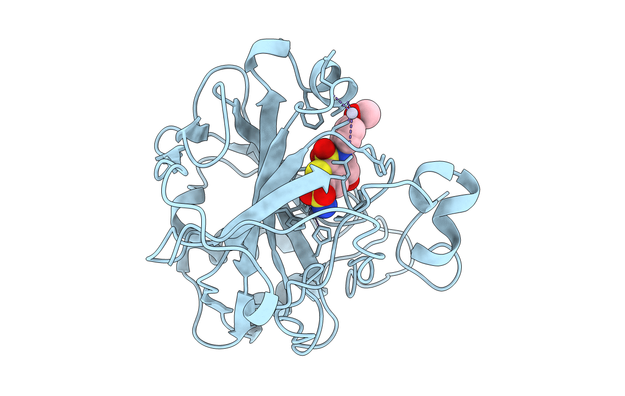 1BNT image