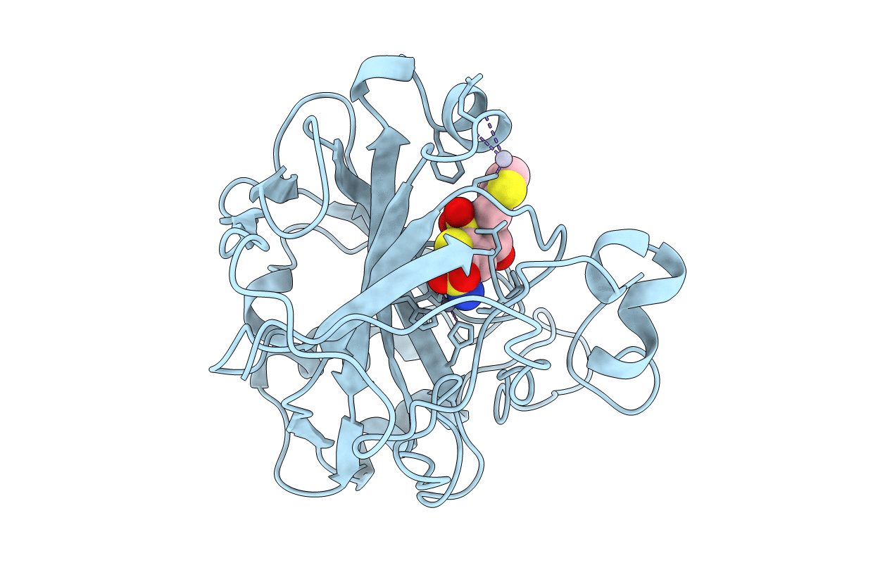 1BNU image
