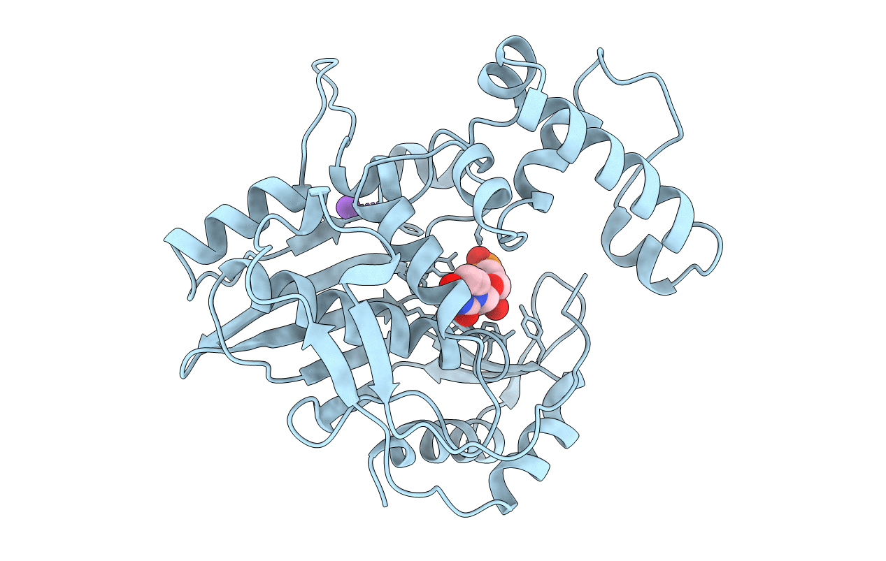 1BP0 image