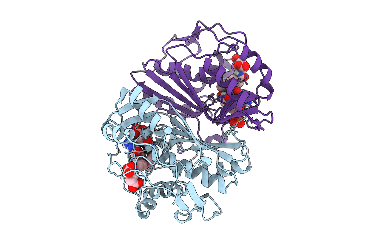 1BQ1 image