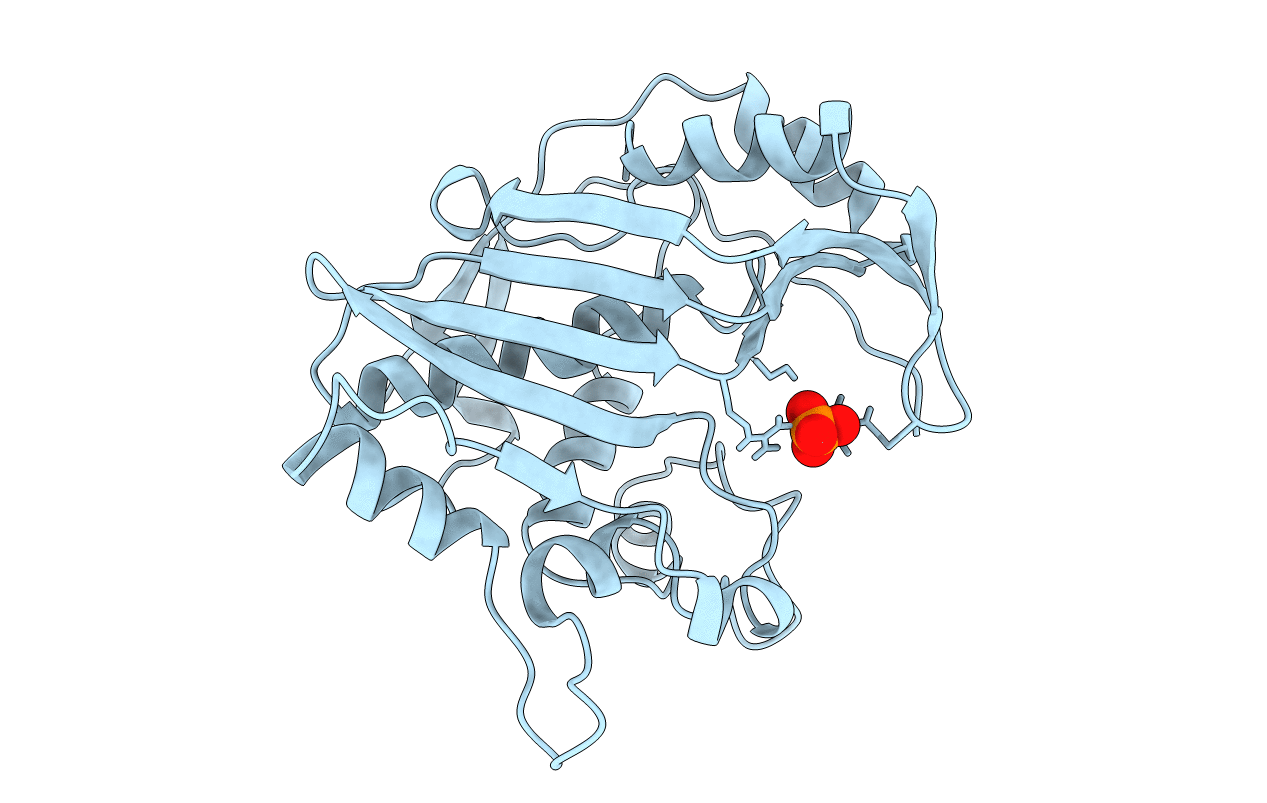 1BQ2 image