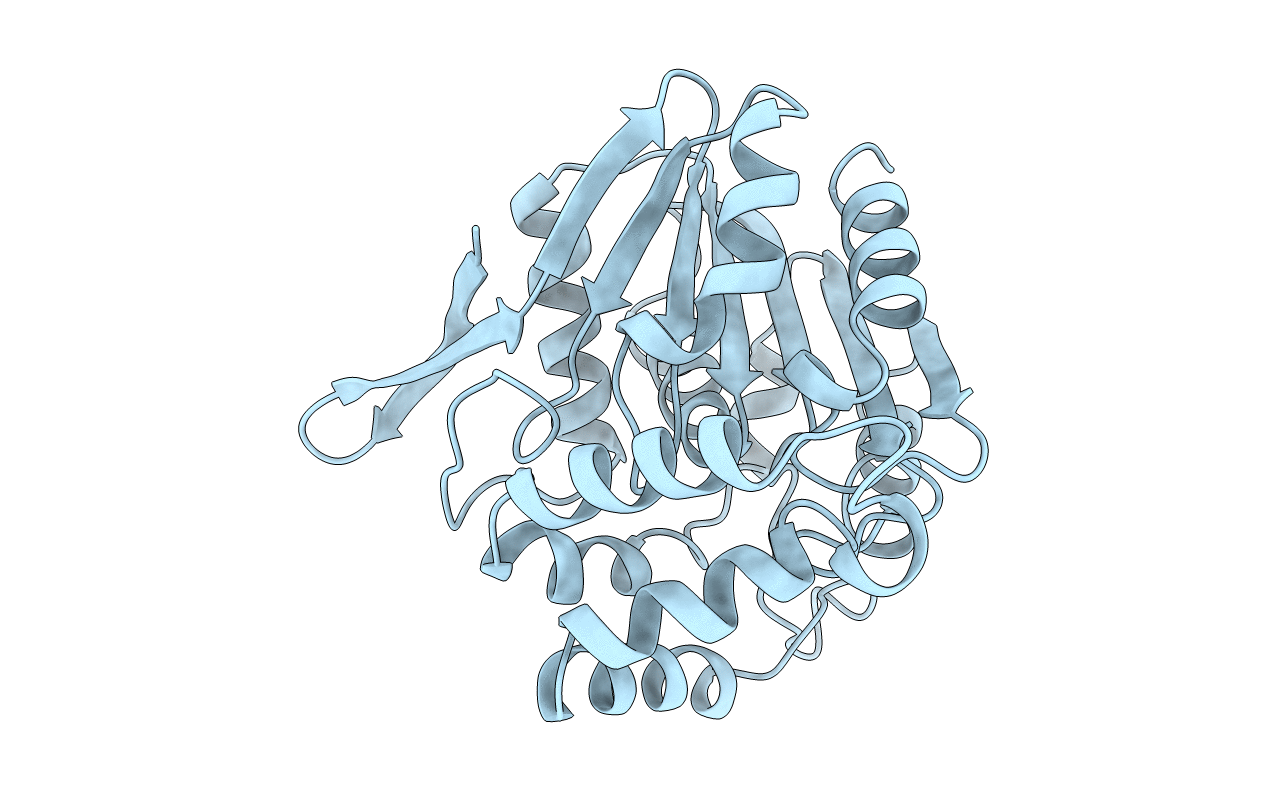 1BRT image