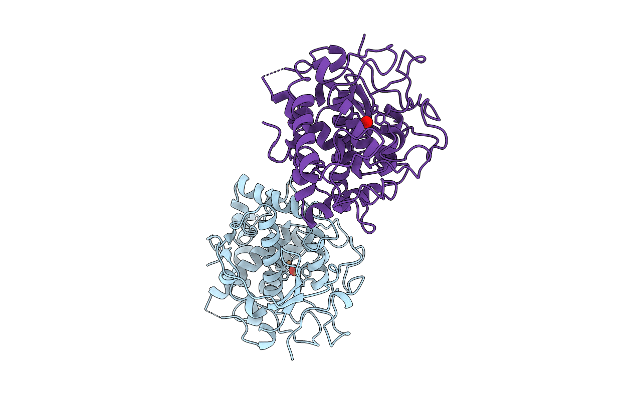 1BT2 image