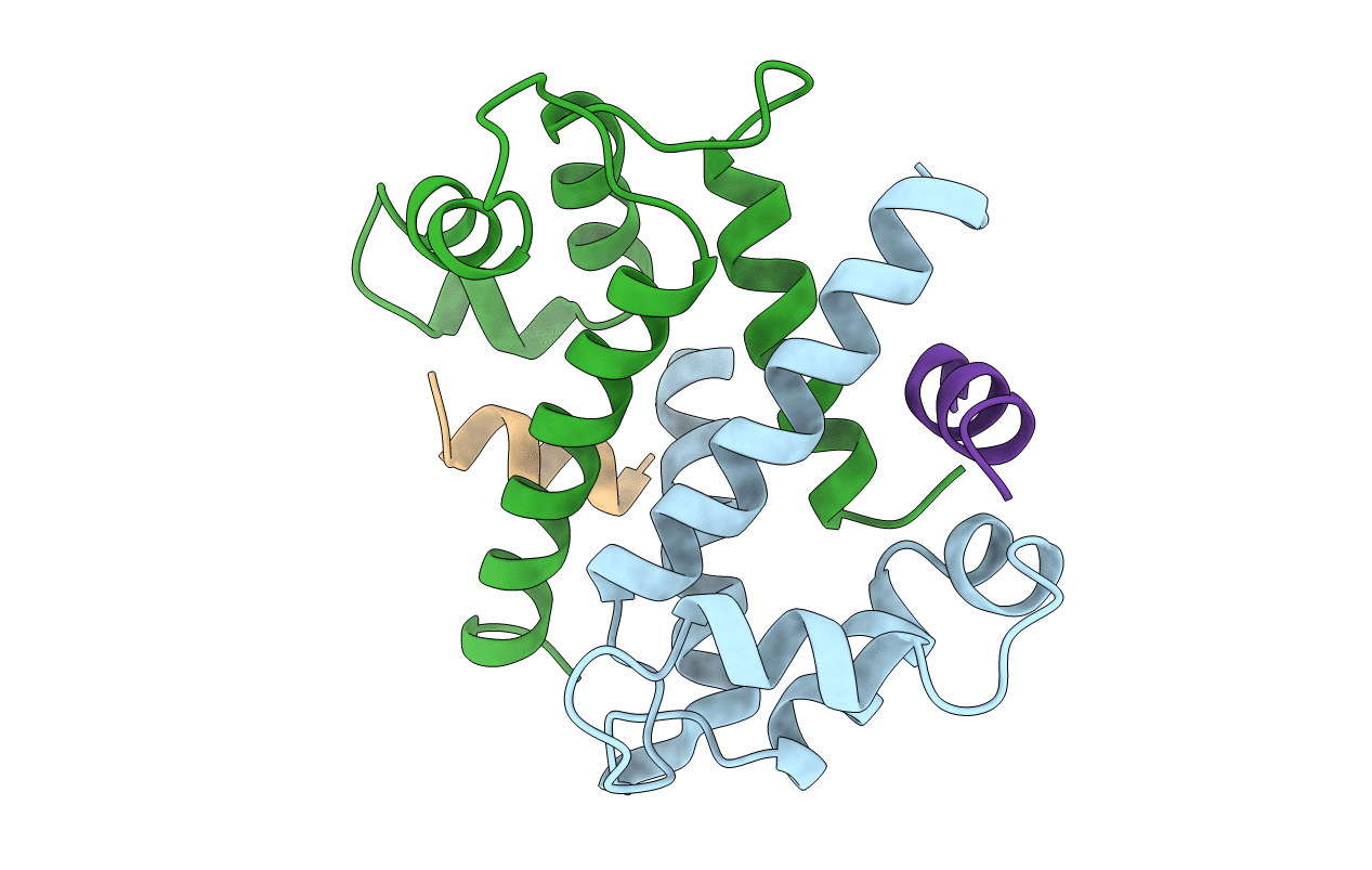 1BT6 image