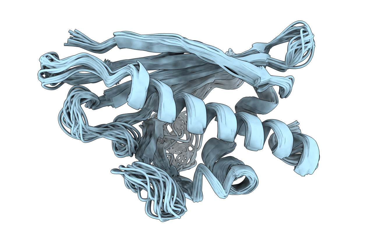 1BTV image