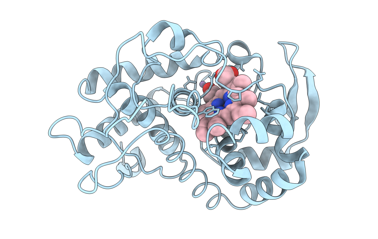 1BVA image
