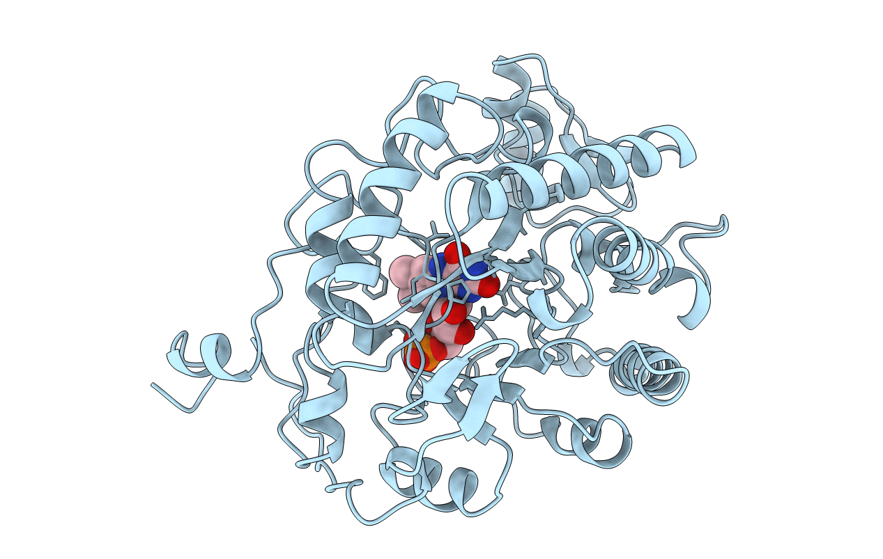 1BWK image