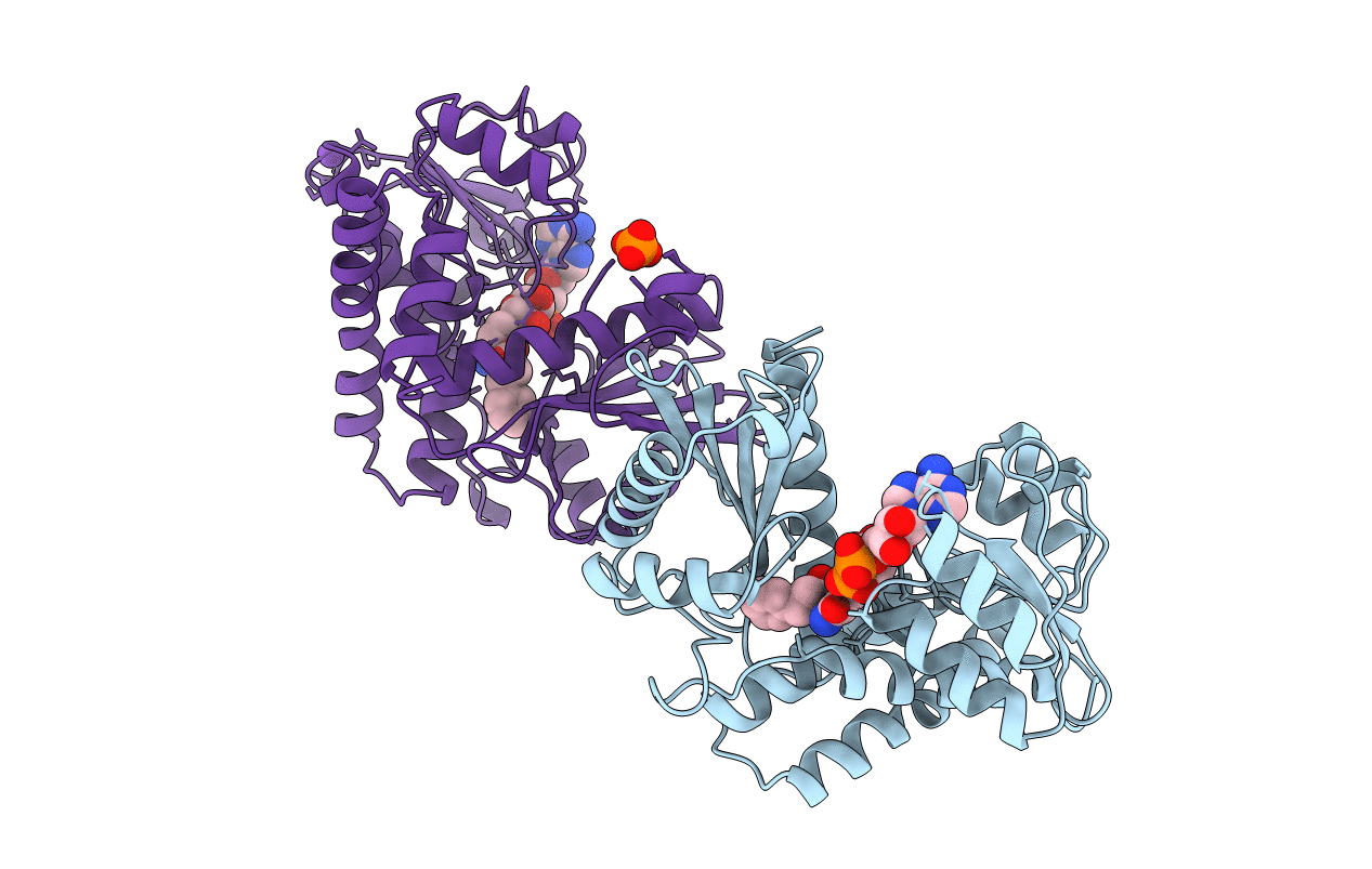 1BXG image