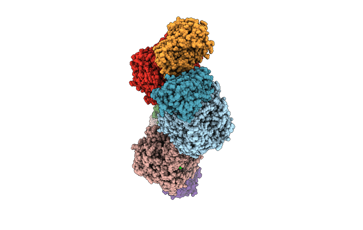 1BXR image