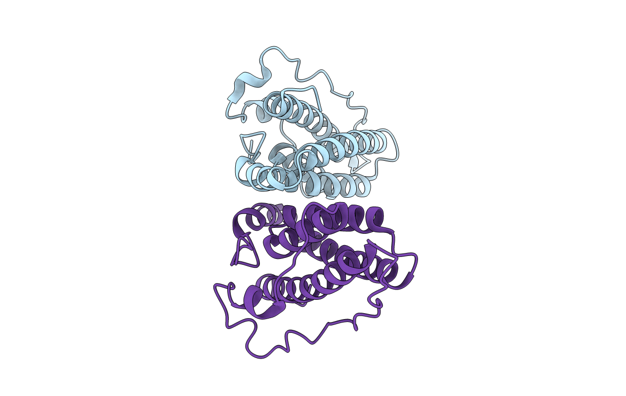 1C02 image