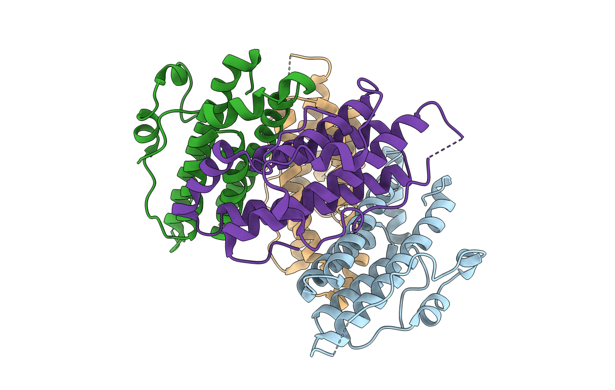 1C03 image