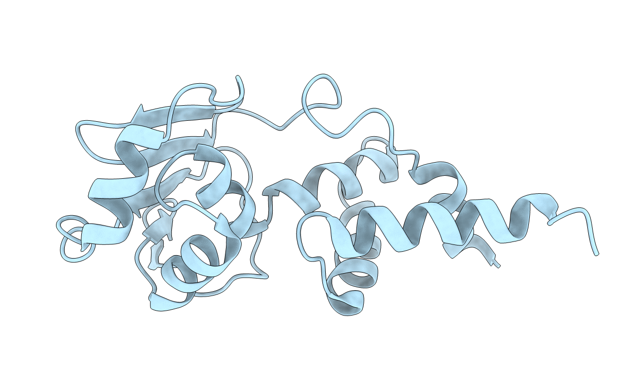1C05 image