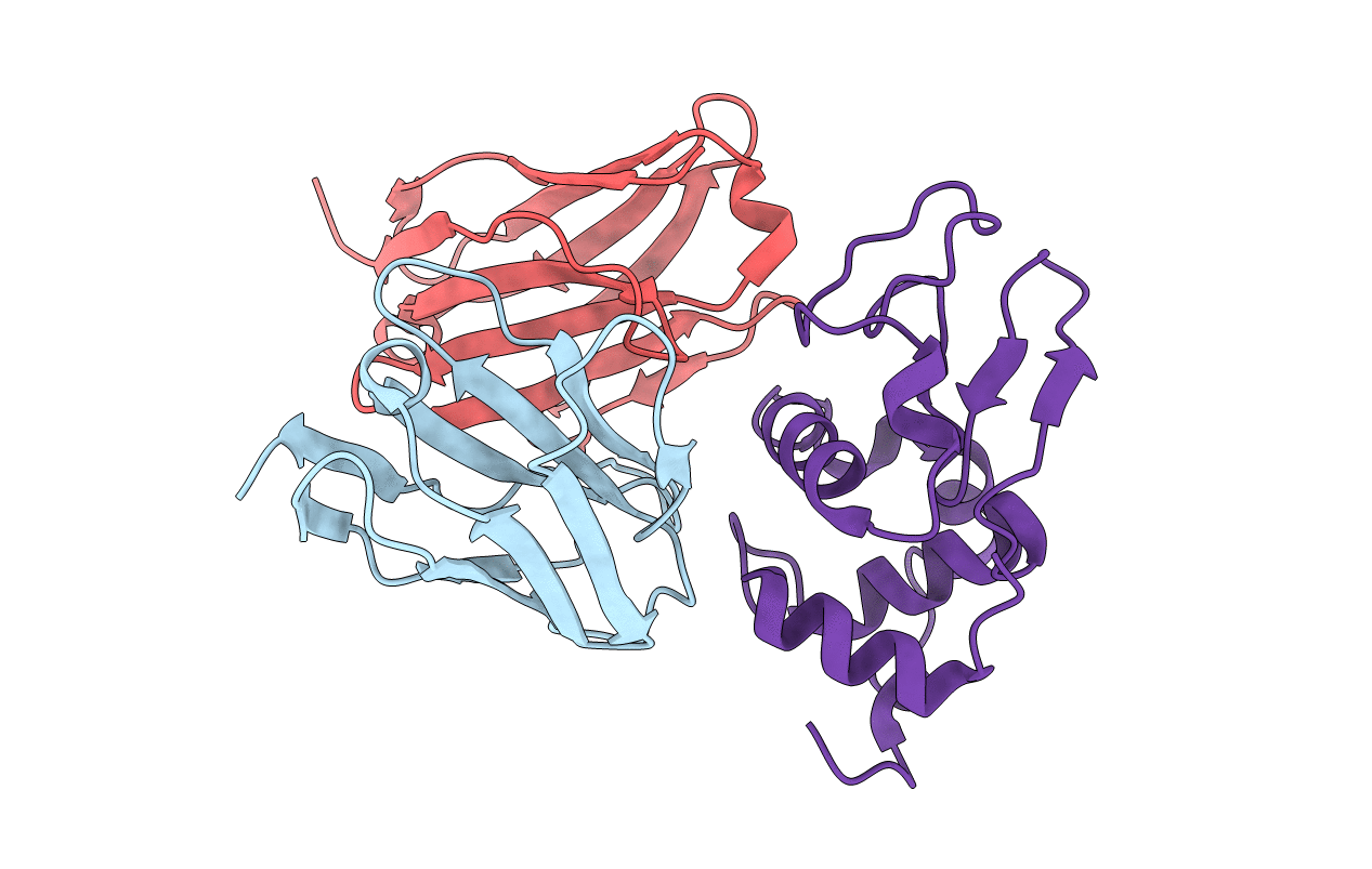 1C08 image