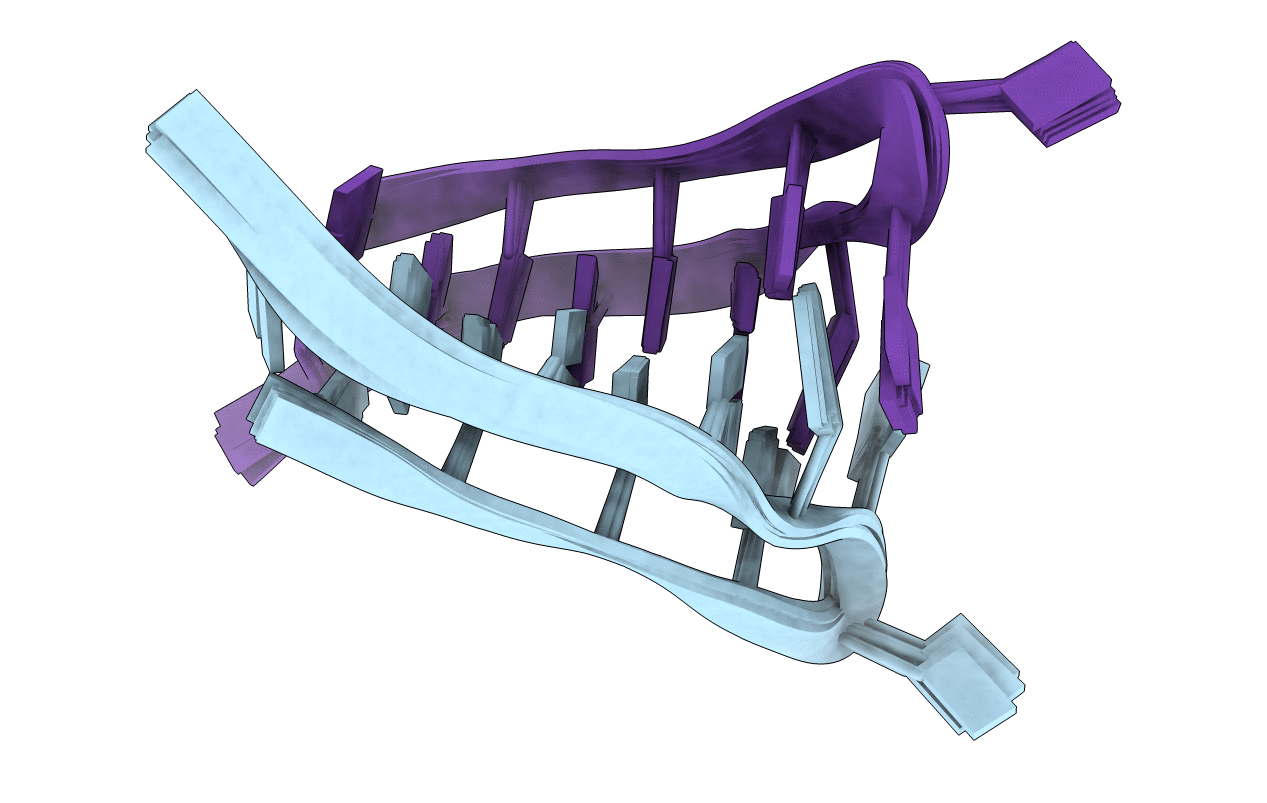 1C11 image