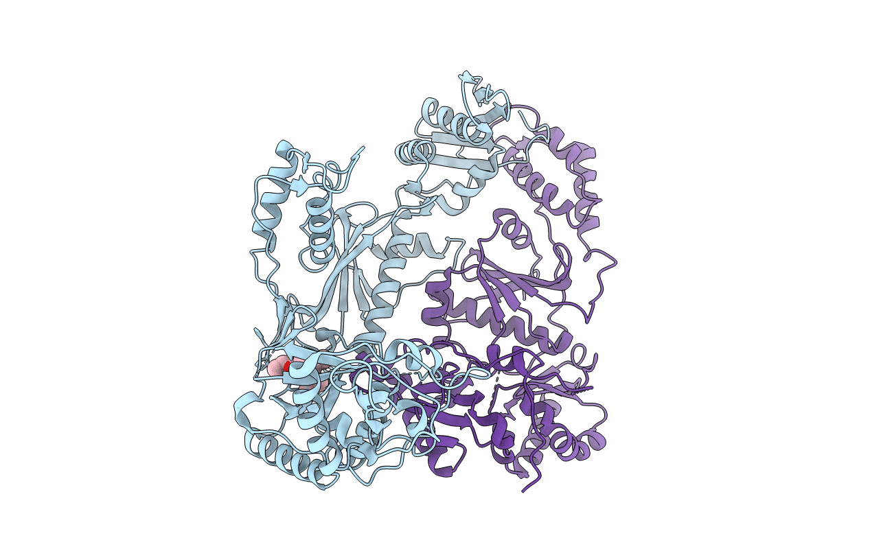 1C1B image