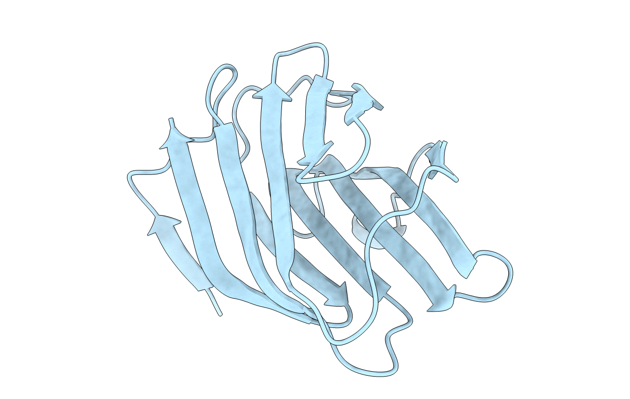 1C1F image