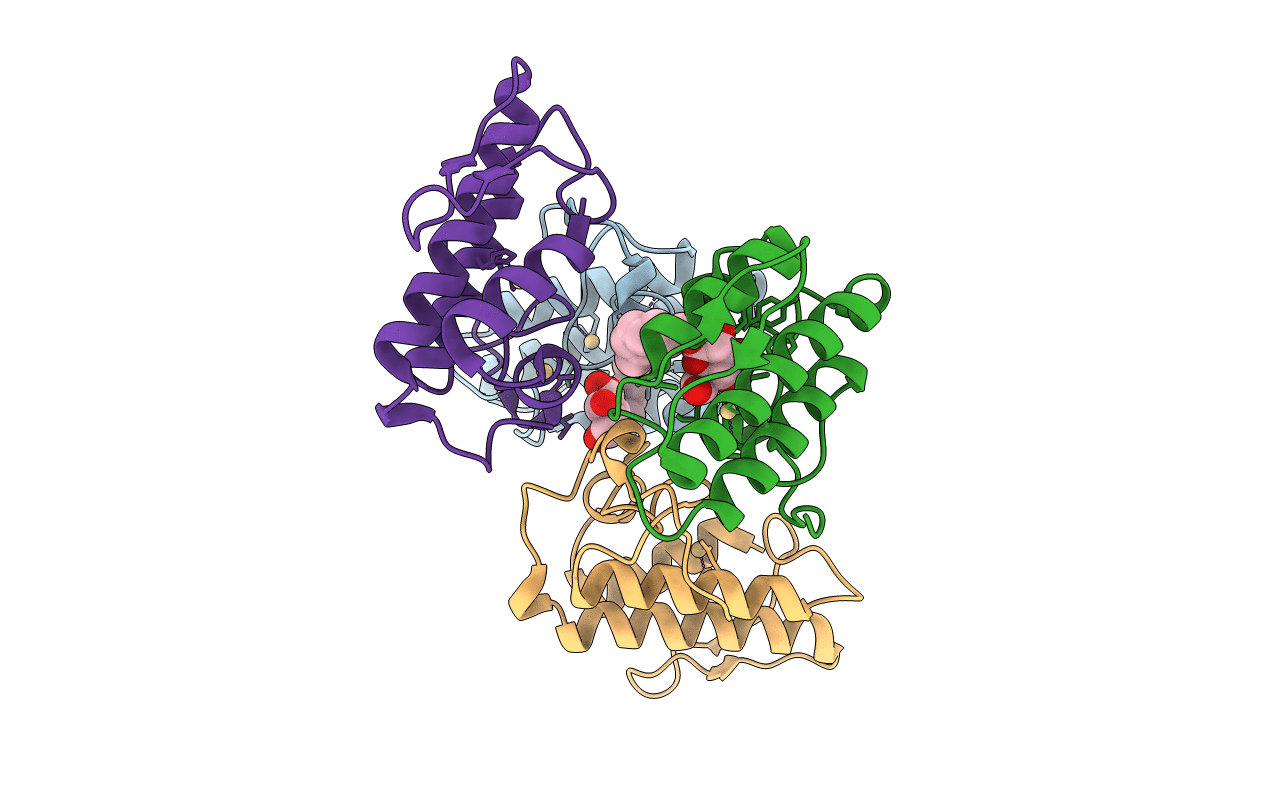1C1J image