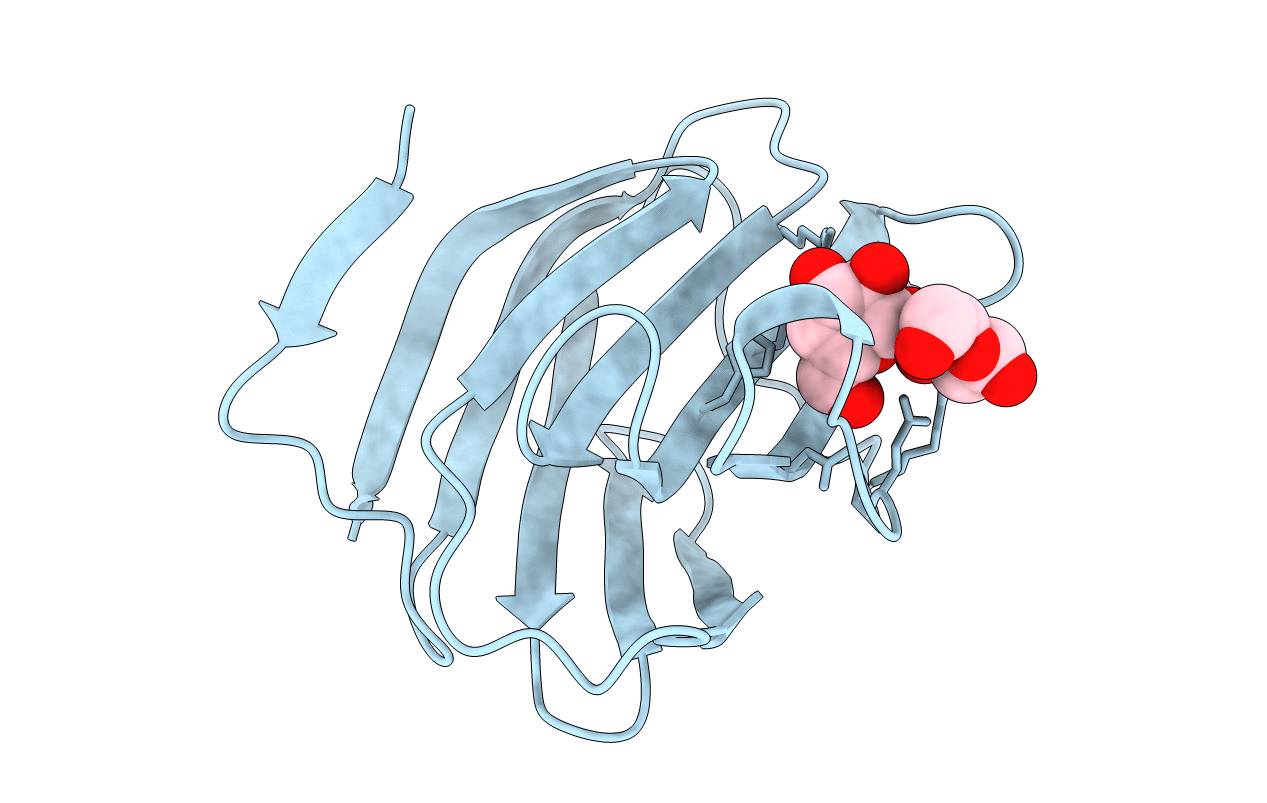 1C1L image