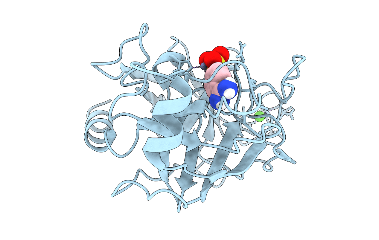 1C1N image