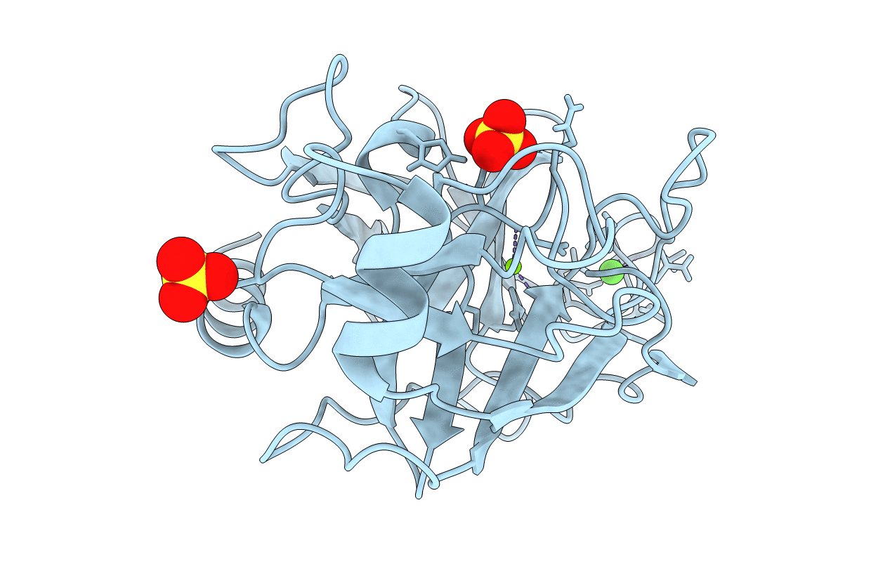 1C1O image