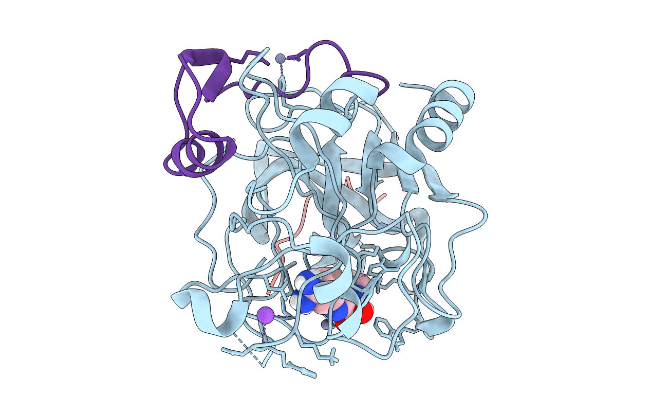 1C1W image