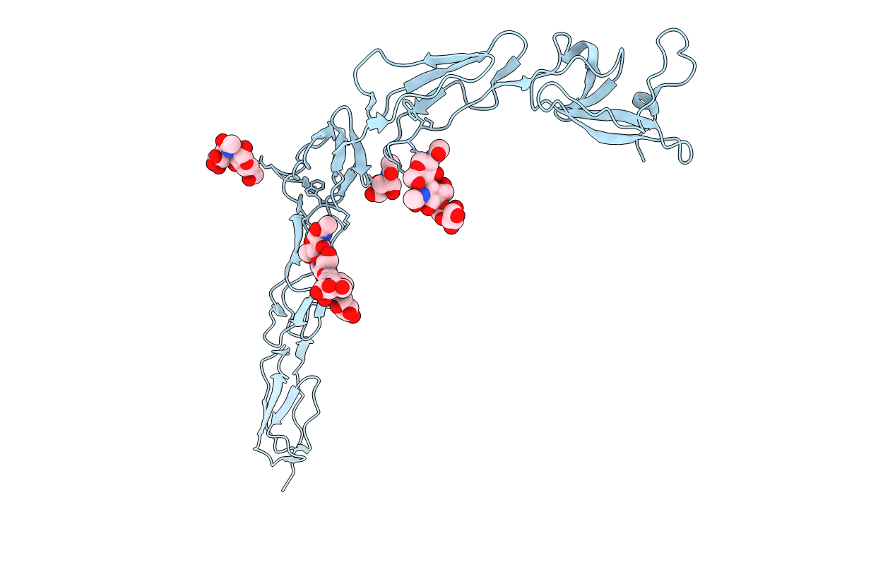 1C1Z image