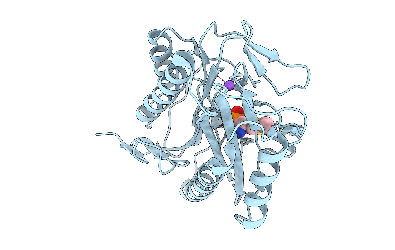 1C23 image