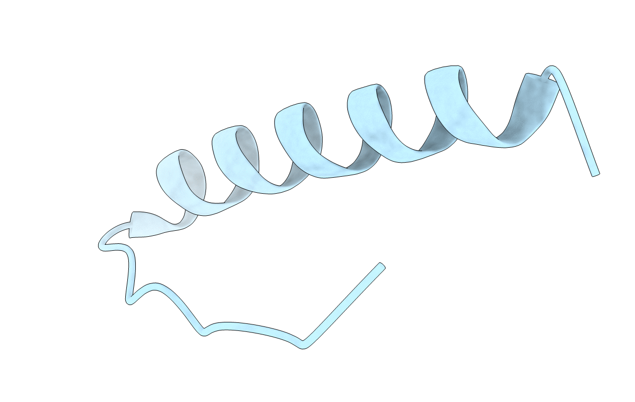 1C26 image