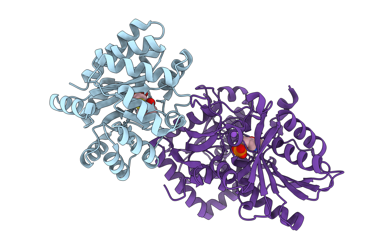 1C29 image