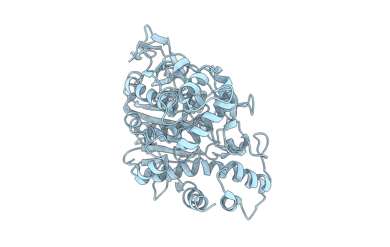 1C2B image