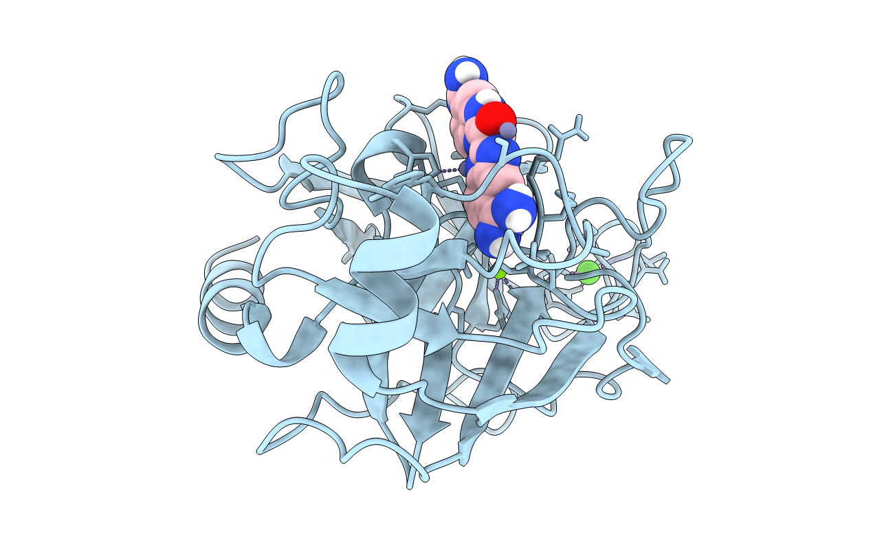 1C2D image
