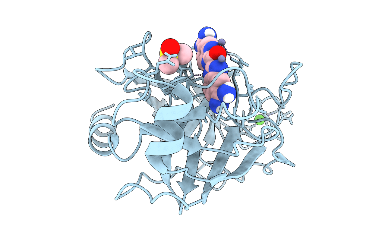 1C2I image