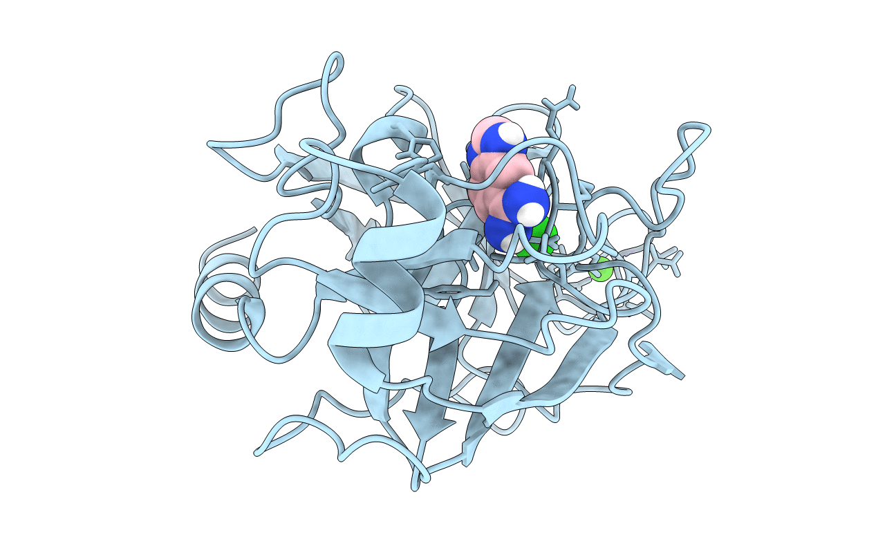1C2K image