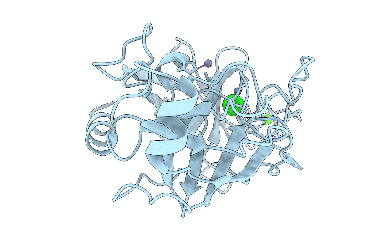 1C2L image